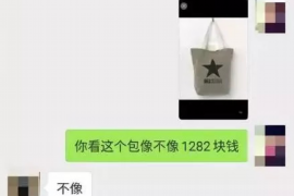 衡水遇到恶意拖欠？专业追讨公司帮您解决烦恼